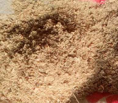 ��ľ�۵�Ʒ�|�Д��ֶν�B