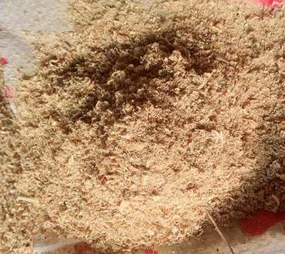 ��ľ�۵��x��Ҫȥ��ҕ�ĵط�