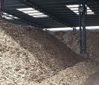 ���{ԭ���ϳ��m�ϝq����ʲôӰ�