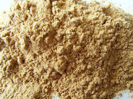 ��ľ�۵��xُ����