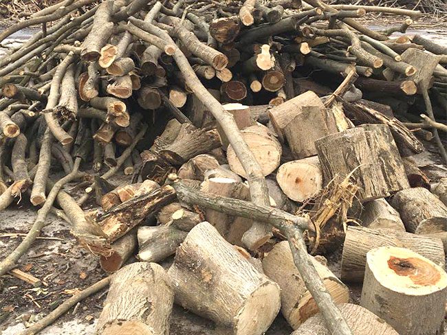 ľ�ĵĻ�����B